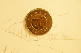 1996 Canada Uncirculated 2 Dollar Toonie Coin,  Make Me Offer photo