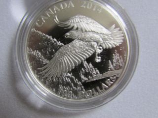 3rd $100 For $100 Silver Coin - Majestic Bald Eagle 2014 photo