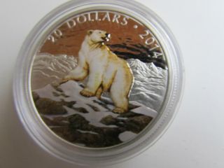 2014 $20 Colored Polar Bear photo