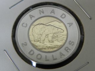 2005 Specimen Unc Canadian Canada Polar Bear Toonie Two $2 Dollar photo