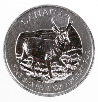 2013 Canada $5 Silver 