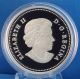 Canada 2013 The Bald Eagle Lifelong Mates 1 Oz.  Pure Silver $20 Proof 7,  500 Coins: Canada photo 1