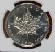 1996 Canadian Silver Bullion Maple Leaf.  9999 Pure 1 Oz Ngc Ms - 66 Key Date Silver photo 1