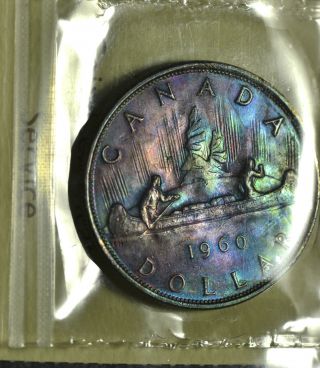 1960 Dollar ($1) Iccs Ms - 65 Pq+ Purple & Green Toning photo