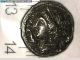 2rooks Greek Colonies Italy Calabria Tarentum Taras Gold Stater Rep.  Coin Coins: Ancient photo 3