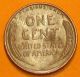 (( (1951 D Copper Penny)) ) Small Cents photo 1
