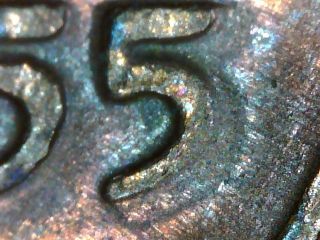 1955/5 P Lincoln Wheat Cent Poor Man Double photo