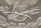 1878 - P Pcgs Ms63 Vam - 30 Or 30a Extra Talons Morgan Dollar B1 Dollars photo 9