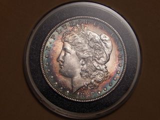 1887 O Morgan Silver Dollar.  Toning Take A Look photo