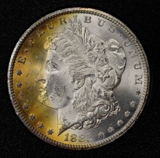 1885 - Cc Gsa Morgan Silver Dollar $1 Ngc Ms64 - Box - Spectacular Beauty photo
