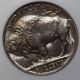 1916 Anacs Ms64 Buffalo Nickel Nickels photo 4