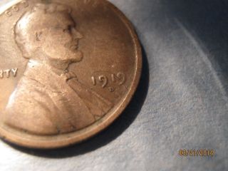 1919 - D Lincoln Wheat Penny photo