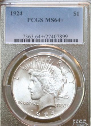 1924 Peace Dollar Ms - 64+ Plus Pcgs Population 224 Frosty Luster photo