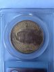 1924 $20 Saint Pcgs Ms63 St Gaudens Gold Coin Gold photo 6