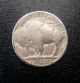 1929 Buffalo Nickel 097 Nickels photo 1