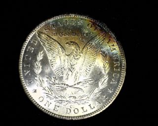 1884cc Ngc Ms62 Gsa Beautifully Toned Carson City Morgan Silver Dollar photo