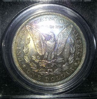 1886 Reverse Slabbed Rainbow Toned Pcgs Certified Ms 63 Morgan Silver Dollar photo