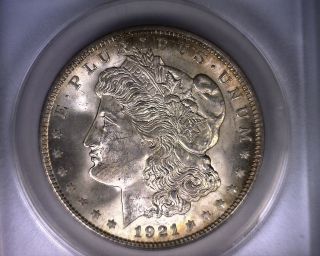 Ms63 Anacs 1921 Top 100 Vam 41b Morgan Silver Dollar United States Coin 1921 photo