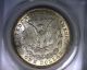 Ms63 Anacs 1921 Top 100 Vam 41b Morgan Silver Dollar United States Coin 1921 Dollars photo 1