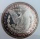 1880 - S Morgan Silver Dollar Ngc Graded Ms64 Pl Proof Like Old Fattie Holder Dollars photo 3