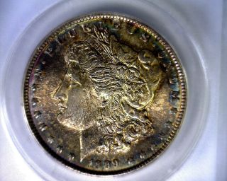 Ms63 Anacs Beautifully Toned 1889 Vam 7 Morgan Silver Dollar U.  S.  Coin 1889 photo