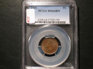 1901 Indian Head One Cent Pcgs Ms64bn Brown   M5 photo