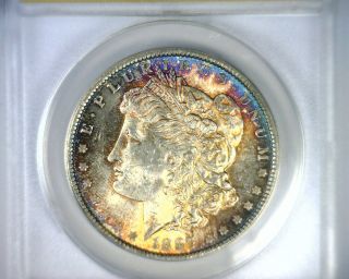 Ms64 Anacs Beautifully Toned 1887 Morgan Silver Dollar U.  S.  Coin 1887 photo