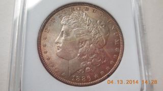 1886 - P Morgan Dollar - Uncirculated Tone Both Sides A++ photo