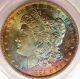 1884 - O Toned Morgan Silver Dollar Anacs Ms63 - Rainbow Toning Dollars photo 5