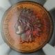 1872 Indian Cent Penny,  Ngc Unc Details,  Very Choice Bu Toned,  Dgh Small Cents photo 1