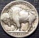 Key Date 1924 - D Buffalo Nickel Full Strong Date + With Horn Quality Nickels photo 1