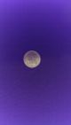 1943 Steel Lincoln Cent Small Cents photo 2