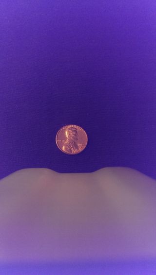 1981 D Lincoln Penny photo