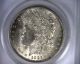 Ms63 Anacs 1921 Hot 50 Vam 3e Morgan Silver Dollar United States Coin 1921 Dollars photo 3
