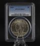 1924 Pcgs Ms63 Peace Dollar - Graded Silver Investment Certified Coin $1 Dollars photo 1