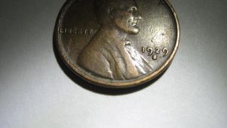 1929 - S 1c Lincoln Cent photo