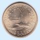2000 - D Native American (sacagawea) Dollar - Brilliant Uncirculated Dollars photo 1