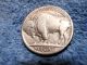 Scarce Buffalo Nickel 1929 - S Extremely Fine Nickels photo 3