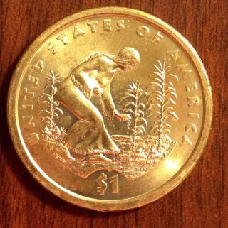2009 - Denver Sacagawea Gold Native American Coin photo
