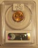 Pcgs - Certified Lincoln Shell - Case Wheat Cent: 1944 - D In Ms66rd Small Cents photo 1