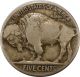1916 5c Buffalo Nickel Great Coin Al - 24 Nickels photo 1
