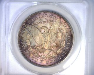 Ms63 Anacs Beautifully Toned 1979s Morgan Silver Dollar U.  S.  Coin 1879 S photo