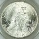 1923 Silver Peace Dollar Coin Anacs Ms - 63 Struck Through Debris Brilliant Luster Dollars photo 2