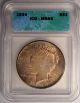 1924 Peace Silver Dollar Icg Ms64 - Rainbow Coin Dollars photo 1