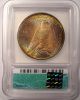 1924 Peace Silver Dollar Icg Ms64 - Rainbow Coin Dollars photo 2