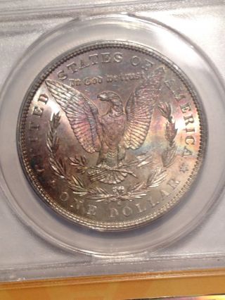 1881 - S Morgan Silver Dollar Anacs Ms62 Rainbow Toned photo