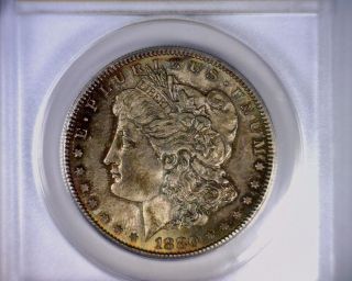 Ms63 Anacs Beautifully Toned 1880s Vam 43 Morgan Silver Dollar U.  S.  Coin 1880 S photo