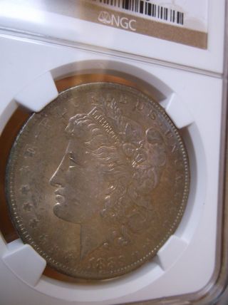 1883 O Morgan Silver Dollar Ms64 Ngc Tone On Both Side 8 photo
