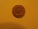 1883 Indian Head Penny - Check It Out Small Cents photo 3