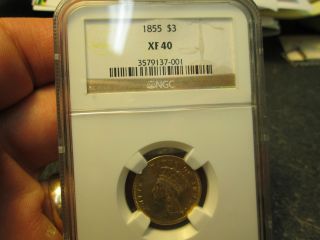 1855 3 Dollar Princess Gold Coin In Ngc Xf40 Extra Fine photo